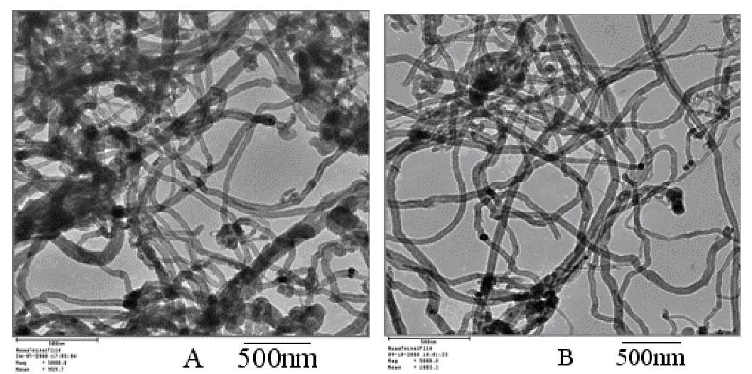 碳納米管 TEM 圖像（ A ）原始 MWCNT ；（ B ）等離子體處理 MWCNTs
