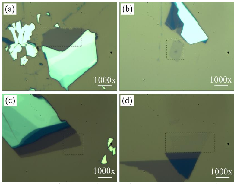 圖 3.3 低溫氧等離子體處理后單層 M o S 2 薄膜的光學(xué)顯微鏡圖。（a）樣品 1 # 的光鏡圖，（b）樣 品 2 # 處理 1 0 s 的光鏡圖，（ c）樣品 3 # 處理 2 0 s 的光鏡圖和（ d）樣品 4 # 處理 4 0 s 的光鏡圖。