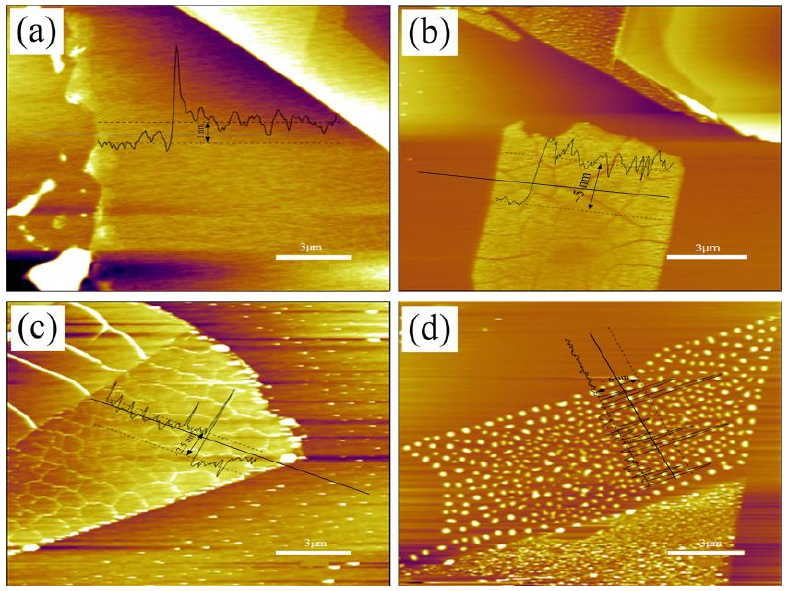 圖 3.5 低溫氧等離子體處理后單層 M o S 2 薄膜形貌圖。（a）樣品 1 # 的厚度~ 1 nm；（ b）樣品 2 # 的厚度~ 5 nm；（ c）樣品 3 # 的厚度~ 3.5 nm；（ d）樣品 4 # 的厚度~ 6 nm。